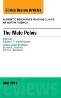 MRI of the Male Pelvis, An Issue of Magnetic Resonance Imaging Clinics of North America | 0:e upplagan Erbjudandepris