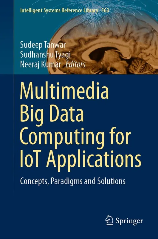 Multimedia Big Data Computing for IoT Applications | 1:a upplagan Populär