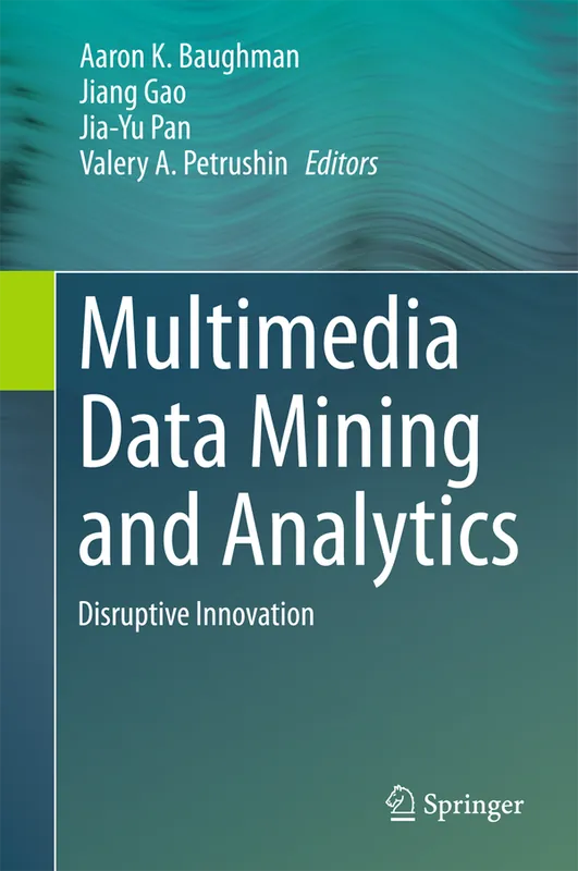 Snabb leverans Multimedia Data Mining and Analytics | 1:a upplagan