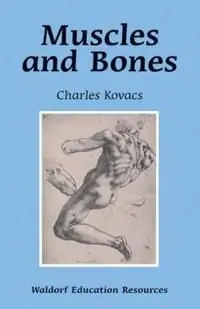Reapris Muscles and Bones | 0:e upplagan