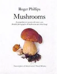 Mushrooms | 0:e upplagan Outlet