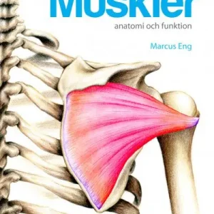 Muskler anatomi och funktion | 1:a upplagan Rabatter