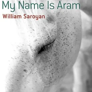 I lager My Name Is Aram | 0:e upplagan