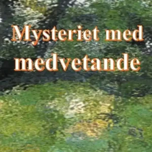 Mysteriet med medvetande | 1:a upplagan I lager