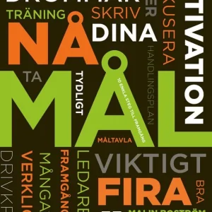 Nå dina mål : 10 enkla steg till framgång | 1:a upplagan Erbjudandepris