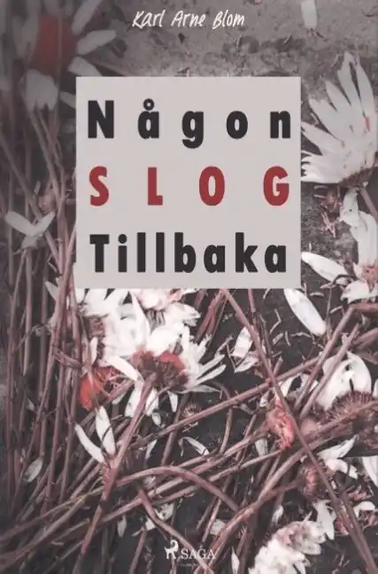 Fynd Någon slog tillbaka | 0:e upplagan