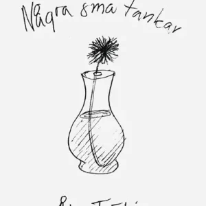 Några små tankar | 0:e upplagan Sänkt pris