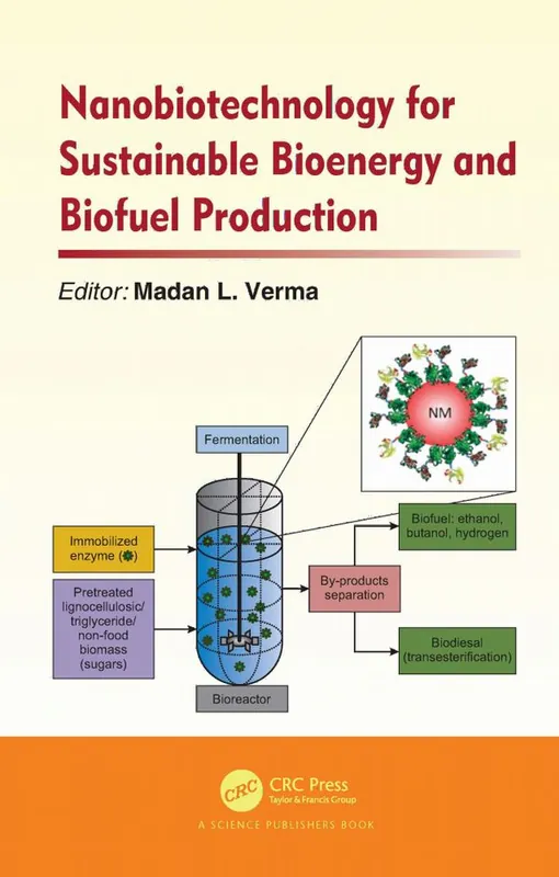 Nanobiotechnology for Sustainable Bioenergy and Biofuel Production | 1:a upplagan Extra rabatt