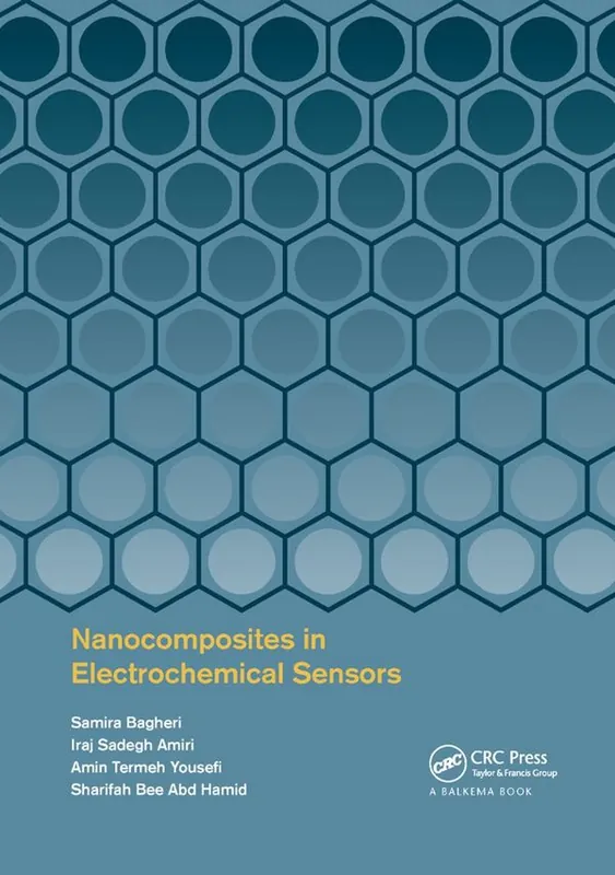 Nanocomposites in Electrochemical Sensors | 1:a upplagan Erbjudandepris
