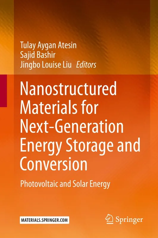 Nanostructured Materials for Next-Generation Energy Storage and Conversion | 1:a upplagan Nedsatt pris