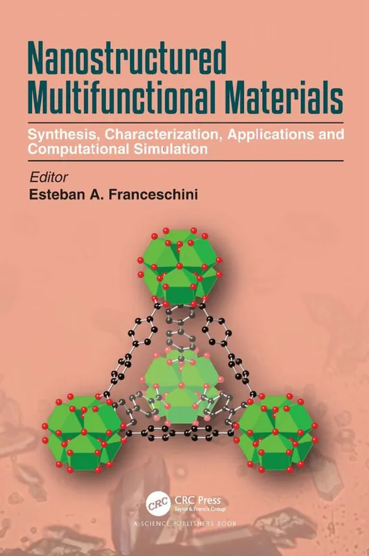 Endast idag Nanostructured Multifunctional Materials | 1:a upplagan