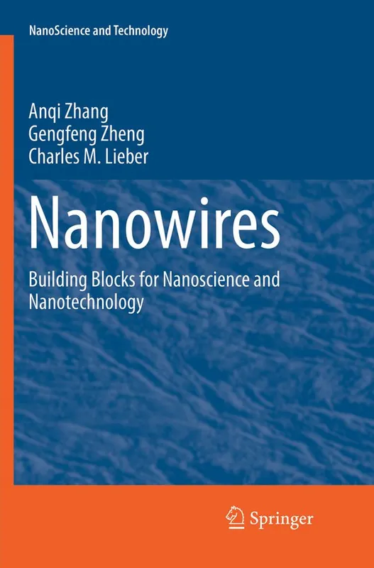 Nanowires | 1:a upplagan Fynd