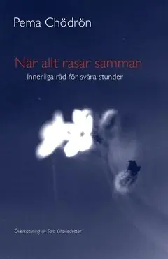 Säker betalning När allt rasar samman : Innerliga råd för svåra stunder | 0:e upplagan