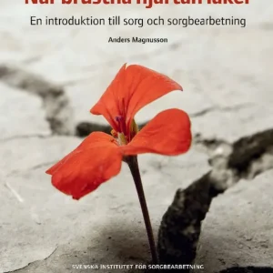 När brustna hjärtan läker : en introduktion till sorg och sorgbearbetning | 1:a upplagan Fri frakt