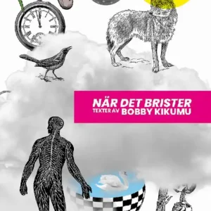 När det brister | 1:a upplagan Handla nu