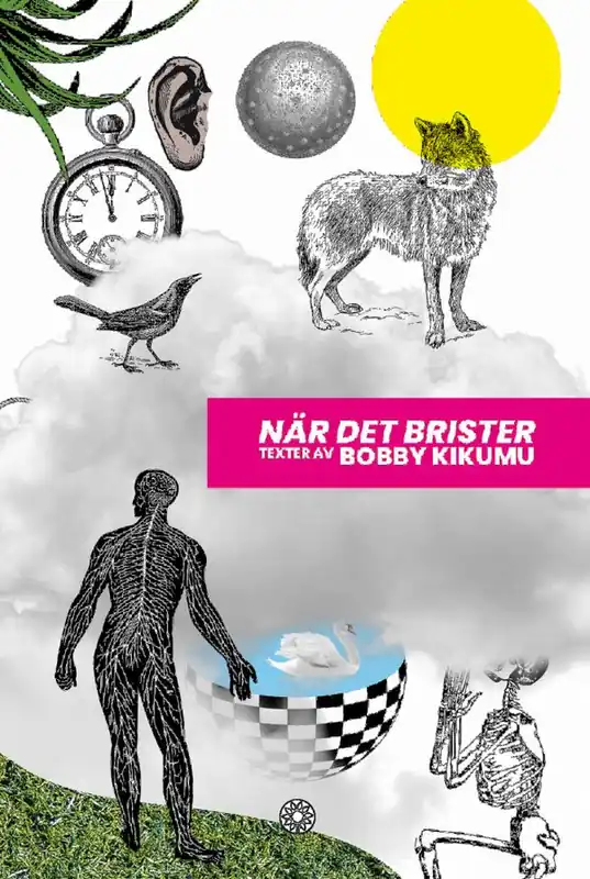 När det brister | 1:a upplagan Handla nu