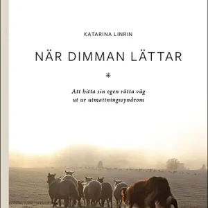 När dimman lättar : att hitta sin egen rätta väg ut ur utmattningssyndrom | 1:a upplagan Endast idag