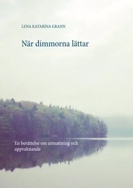 När dimmorna lättar : en berättelse om utmattning och uppvaknande | 1:a upplagan Billigare