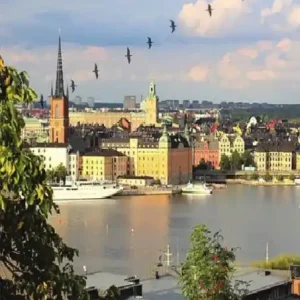 Utförsäljning När vildgässen flyger | 1:a upplagan