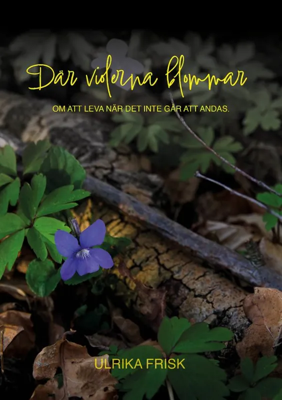 Endast idag NÄR VIOLERNA BLOMMAR | 0:e upplagan