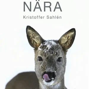 Nära | 1:a upplagan Lågt pris