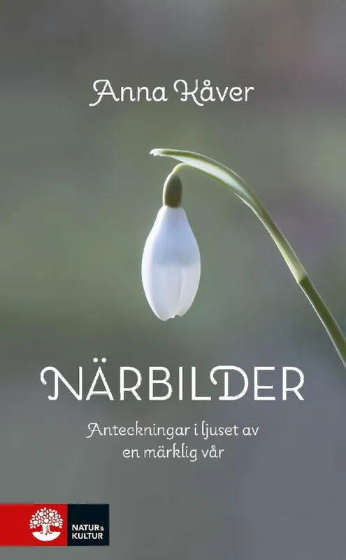 Köp nu Närbilder : Anteckningar i ljuset av en märklig vår | 1:a upplagan