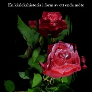 Erbjudande Närmare nu - En kärlekshistoria i form av ett enda möte | 0:e upplagan