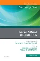 Bästa pris Nasal Airway Obstruction, An Issue of Otolaryngologic Clinics of North America | 0:e upplagan