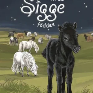 Natten då Sigge föddes | 0:e upplagan Fri frakt