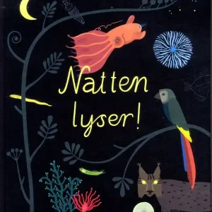Kampanjpris Natten lyser | 1:a upplagan