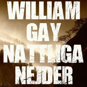 Trygg betalning Nattliga nejder | 1:a upplagan