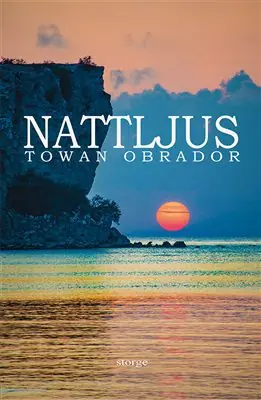 Trygg betalning Nattljus | 0:e upplagan