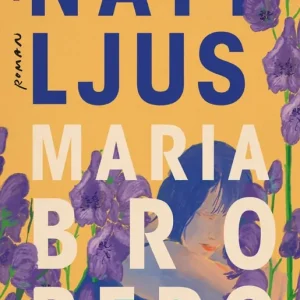 Billig Nattljus | 1:a upplagan