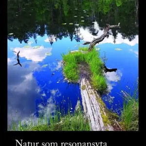 Natur som resonansyta | 0:e upplagan Handla nu