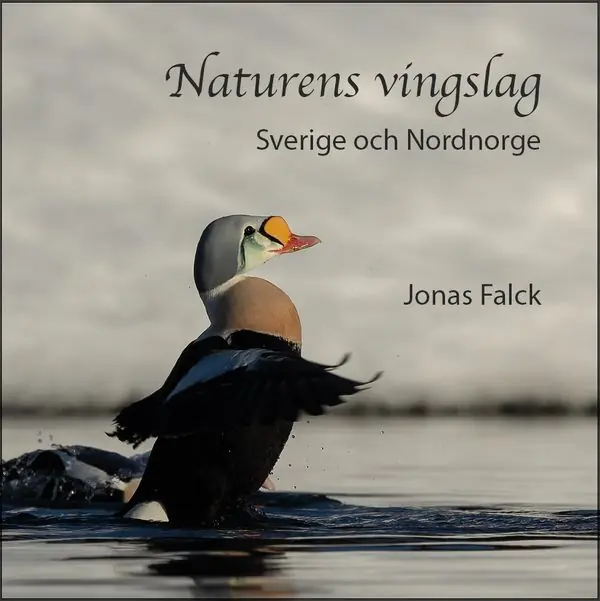 Populärt val Naturens vingslag – Sverige och Nordnorge | 0:e upplagan