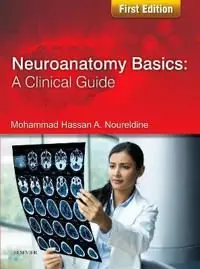 Neuroanatomy Basics: A Clinical Guide | 0:e upplagan Köp online