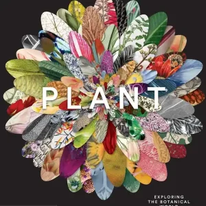 Lågt pris Plant | 0:e upplagan