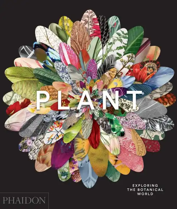 Lågt pris Plant | 0:e upplagan