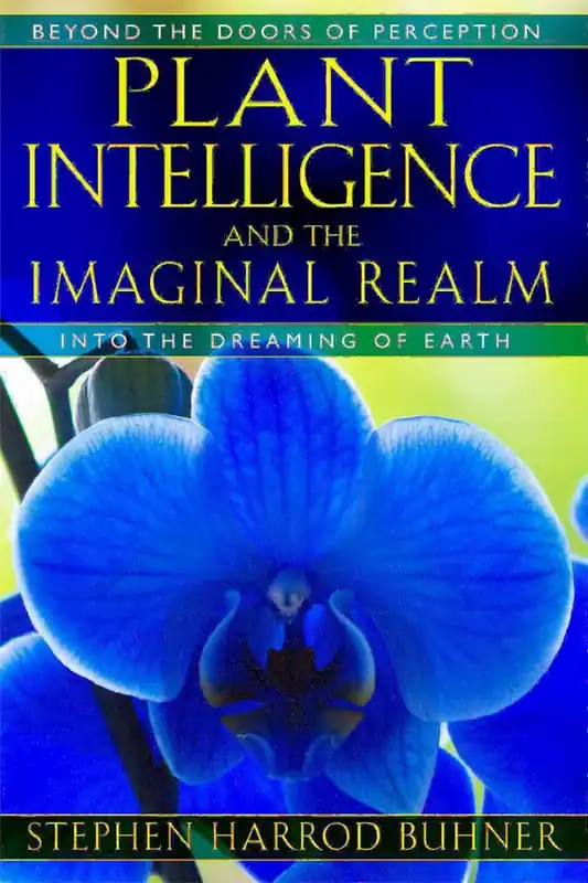 Kampanjpris Plant Intelligence and the Imaginal Realm | 0:e upplagan