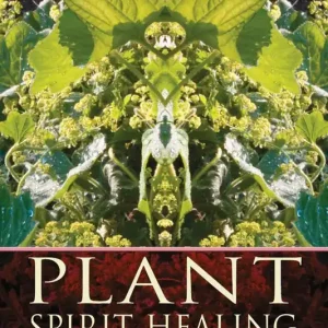 Plant Spirit Healing | 0:e upplagan Bästa pris