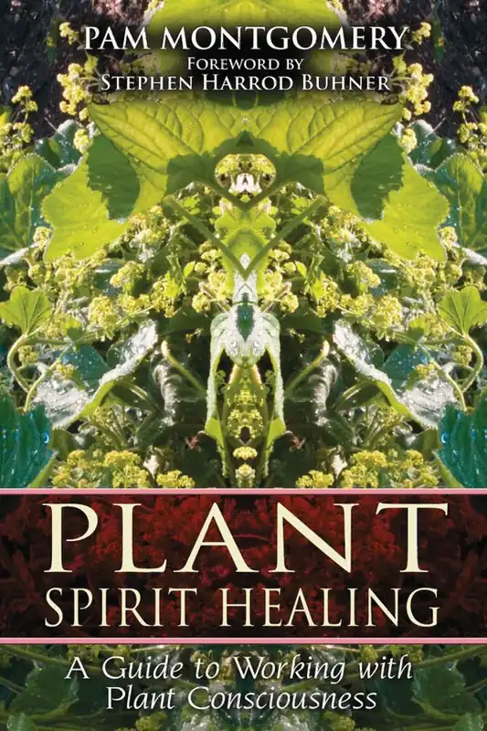Plant Spirit Healing | 0:e upplagan Bästa pris