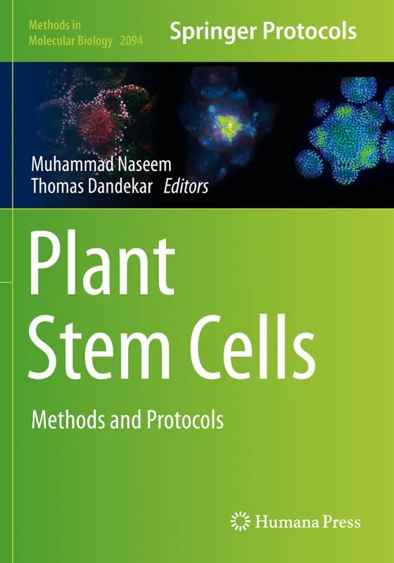 Rabatter Plant Stem Cells: Methods and Protocols: 2094 (Methods in Molecular Biology) | 1:a upplagan