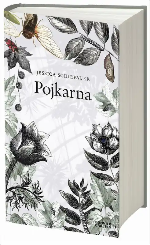 Billig Pojkarna | 0:e upplagan