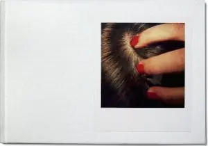 Lågt pris Polaroid SX-70 Bengt-Arne Falk | 1:a upplagan