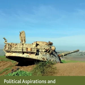 Populärt val Political Aspirations and Perils of Security | 2 013:e upplagan