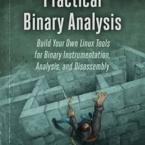 Säker betalning Practical Binary Analysis | 0:e upplagan