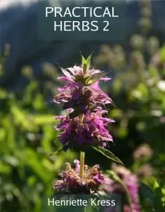 Populärt val Practical Herbs 2 | 0:e upplagan