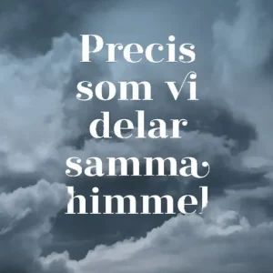 Sänkt pris Precis som vi delar samma himmel. Texter från författare i Strängnäs kommun | 1:a upplagan