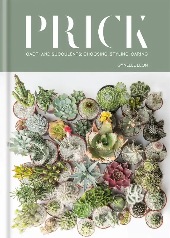 Prick | 0:e upplagan Premium