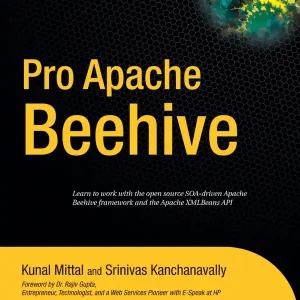 Endast idag Pro Apache Beehive | 1:a upplagan